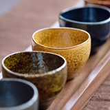 Mino Ware "Autumn Harmony" Tea/sake Cup Set of Five – A Celebration of Seasonal Beauty